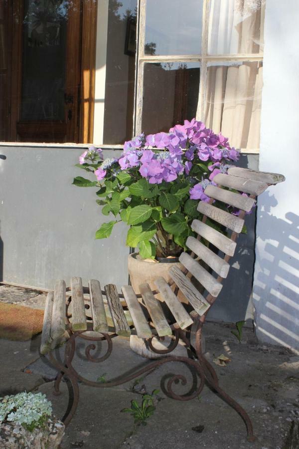 La Passiflore B&B Bossiere Ngoại thất bức ảnh